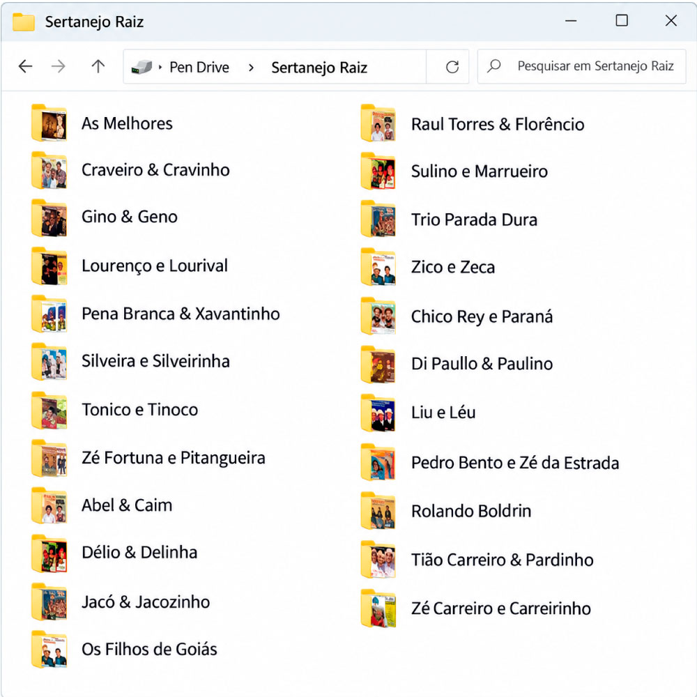 print-sertanejo-raiz